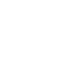 Verticalidad